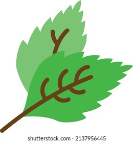 Fresh Mentha leaves Concept, Garden of Mint vector color icon design, Condiments and Spices symbol, Food cooking ingredients Sign, Herbs and table sauce stock illustration