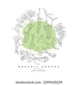 Sello circular con grabado botánico microverde fresco, granja natural. Hembudo dibujado a mano, amaranto, berenjena, cebolla y otras hierbas de ensalada. Brotes de sabor crudo con hojas de bebé, comida orgánica saludable