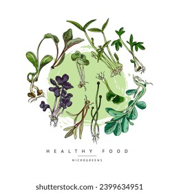 Frische Mikrogrün, Vektorfarbenrundetikett. Handgezeichnete natürliche Bauernsonnenblume, Amarant, Korianderzwiebeln und andere Salatkräuter. Aromen von Roh-Sprossen mit Babyblättern, Landwirtschaft ökologisch gesunde Lebensmittel