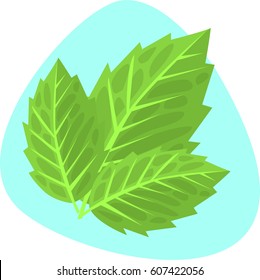 Fresh mint aroma icon. Mint leaf on pale green background. Isolated.