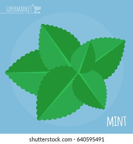Fresh mint flat design vector icon.  