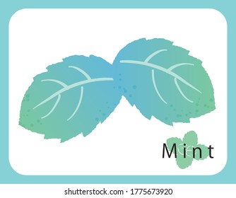Icono de menta fresca, ilustración vectorial.