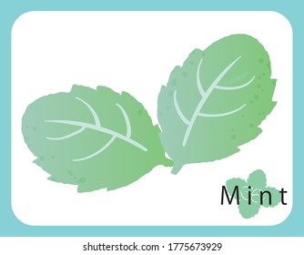 Fresh mint icon, vector illustration.