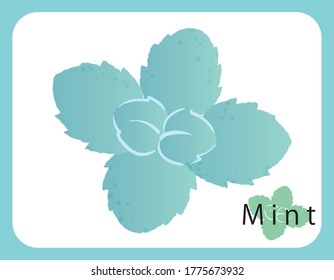 Frisches Minzsymbol, Vektorgrafik.
