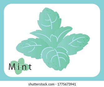 Icono de menta fresca, ilustración vectorial.