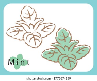 Icono de menta fresca, ilustración vectorial.