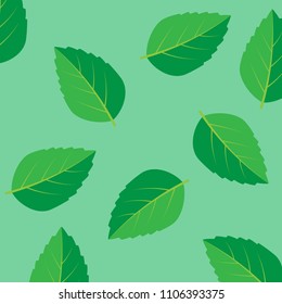 Fresh mint leaf. Mint leaves vector logo