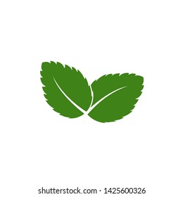 Fresh mint leaf vector illustration