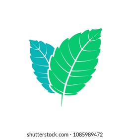 Fresh mint leaf. Vector menthol healthy aroma. Herbal nature plant. Spearmint green leafs flat.