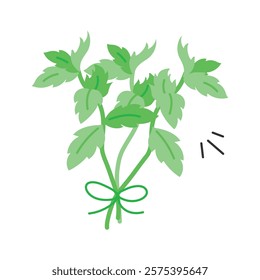 Fresh mint leaves, aromatic and perfect for garnishing