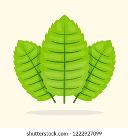 Fresh mint leaves composition on a soft white background. Friendly isolated vector illustration. Cartoon hand drawn style. Bright colors. Green mint leaf badge, icon object.