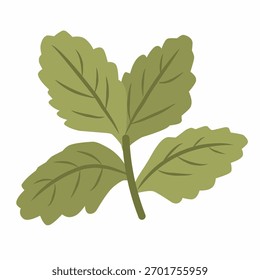 Hojas de menta fresca en estilo plano y acogedor dibujado a mano para la bebida o la ilustración herbal.