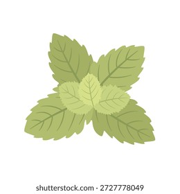 Fresco Menta Deixa Ilustração Plana