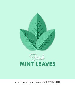 Fresh mint leaves isolated on pale green background