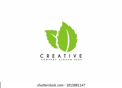 Fresh mint leaves logo design on white background. Vector illustration