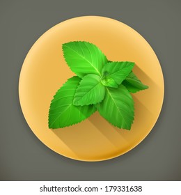 Fresh mint leaves long shadow vector icon