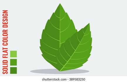 Fresh mint leaves with minimal solid flat colors. Illustrated stock vector