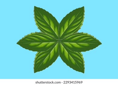 Fresh mint leaves on a blue background