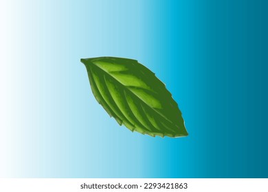 Fresh mint leaves on a blue background