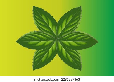 Fresh mint leaves on a green background
