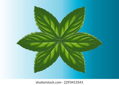 Fresh mint leaves on a green background