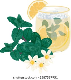 Fresh mint lemonade vector featuring a glass with lemons, mint, ice, and a lemon flower garnish. Perfect for menus, packaging, and branding. Fully editable EPS file for customization!