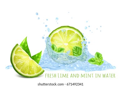 menta fresca y cal en salpicaduras de agua. Ilustración vectorial.