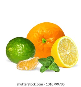 Fresh mint and orange, nutritious lemon and tasty limes. Symbols of fruits. Vector illustration. Fruits ingredients in triangulation technique. Fruits low poly.
