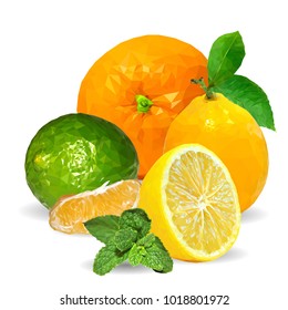 Fresh mint and orange, nutritious lemon and tasty limes. Symbols of fruits. Vector illustration. Fruits ingredients in triangulation technique. Fruits low poly.