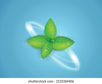 fresh mint and water drop on abstract blue fresh background vector illustration