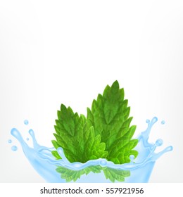 Fresh mint in water splash. EPS10 vector