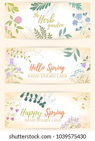 Fresh modern design card of medicinal herbs and flowers. Hand drawn illustration for herbal tea, natural cosmetics, health care products, aromatherapy, homeopathy. Summer art.