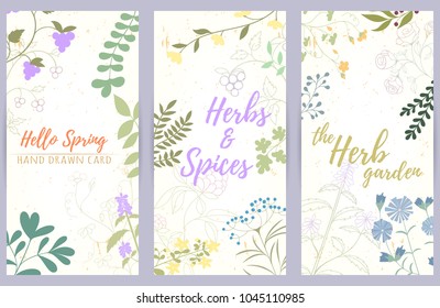 Fresh modern design card of medicinal herbs and flowers. Hand drawn illustration for herbal tea, natural cosmetics, health care products, aromatherapy, homeopathy. Summer art.