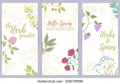 Fresh modern design card of medicinal herbs and flowers. Hand drawn illustration for herbal tea, natural cosmetics, health care products, aromatherapy, homeopathy. Summer art.
