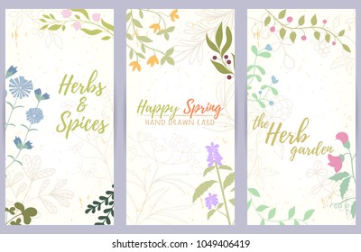 Fresh modern design card of medicinal herbs and flowers. Hand drawn illustration for herbal tea, natural cosmetics, health care products, aromatherapy, homeopathy. Summer art.