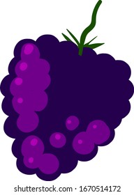 Fresh mulberry, illustration, vector on white background.