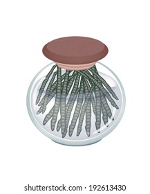 Fresh Mung Bean Pods in Vinegar, Sugar, Salt and Condiment in A Glass Jar, Good Source of Dietary Fiber, Vitamins and Minerals. 