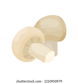 Fresh mushroom champignon vector Illustration on a white background