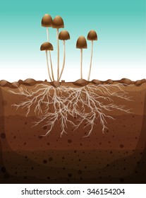 Fresh mushroom growing on land illustration