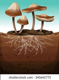 Fresh mushroom with roots underground illustration