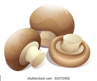 Fresh mushroom in three pieces	 illustration