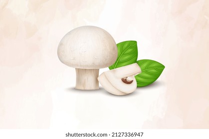 Fresh mushroom vector illustration with vegetable slices and basil leaves