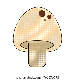 Fresh mushroom vegetable