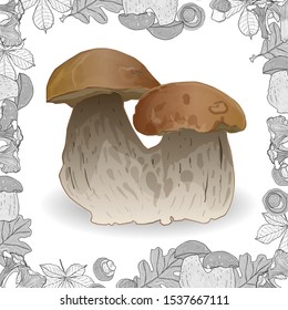 Fresh mushrooms isolated on white with monochrome frame. Vector illustration. 