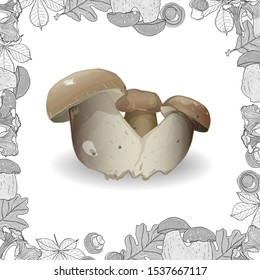 Fresh mushrooms isolated on white with monochrome frame. Vector illustration. 