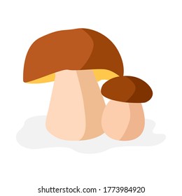 Fresh mushrooms on white background. Isolated porcini icon. Vector champignons sign. Edible mushrooms for cook food. Illustration in flat style.