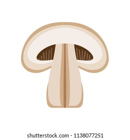 Fresh mushrooms slice, isolated on white background. Eat fresh organic champignons mushrooms. Vector illustration in flat style