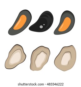 Fresh mussel gastronomy ingredient on white background