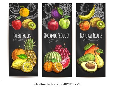 Fresh natural fruits banners. Vector sketch color icons of pear, orange, avocado, apple, peach, banana, kiwi, lemon, mango, pineapple, watermelon, pomegranate, grape, plum for juice drink label