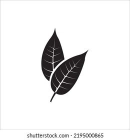 Fresh natural garden leaves icon